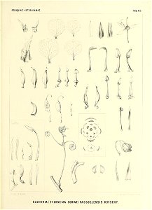 n558_w1150