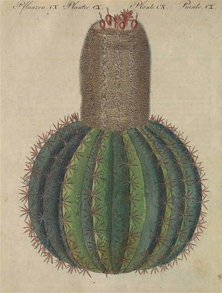 n31_w1150