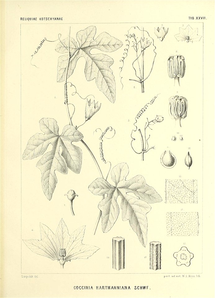 n586_w1150