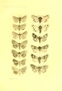 n166_w1150