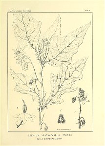 n84_w1150
