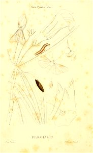 n53_w1150