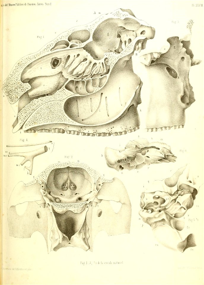 n496_w1150