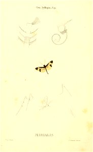 n49_w1150