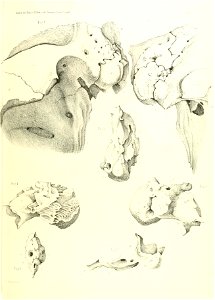 n456_w1150