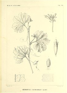 n592_w1150