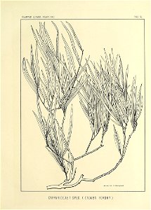 n78_w1150