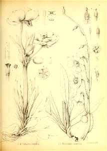 n158_w1150