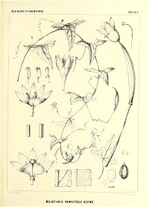 n590_w1150