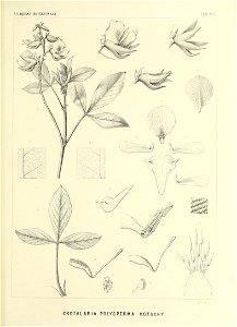 n560_w1150