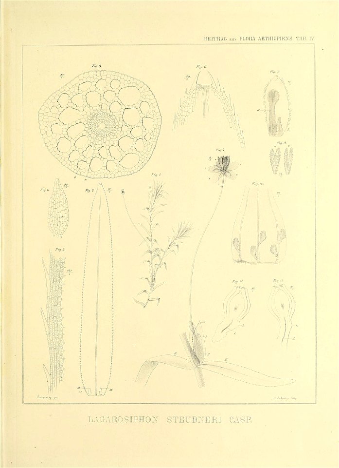 n438_w1150