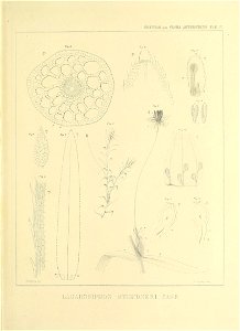 n438_w1150