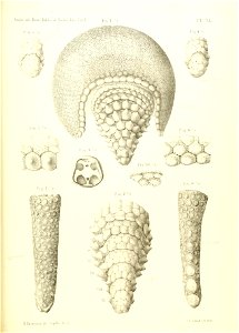 n522_w1150