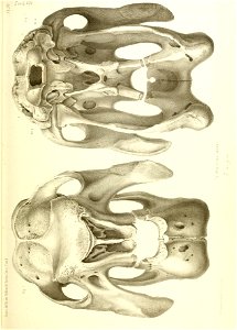 n488_w1150