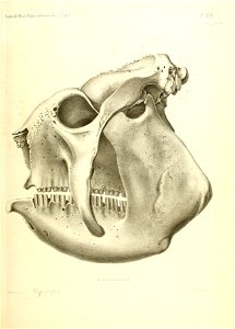 n486_w1150