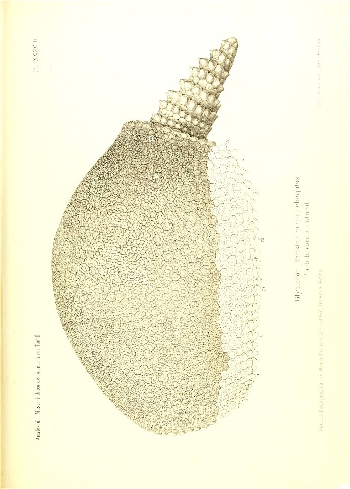 n518_w1150