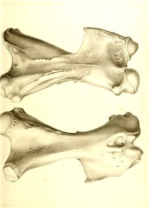 n448_w1150