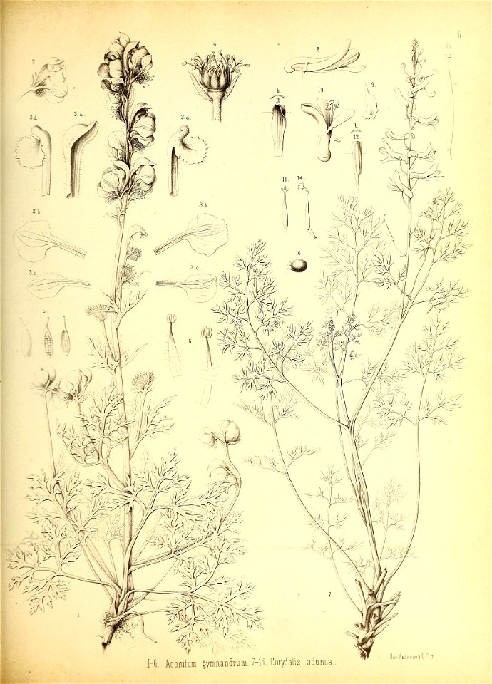 n152_w1150