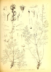n152_w1150