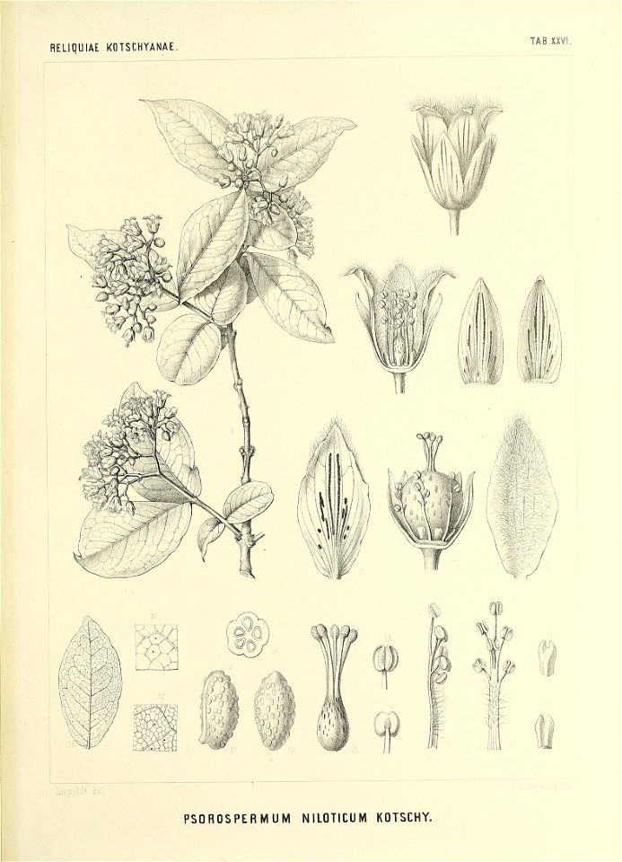 n584_w1150