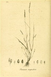 n413_w1150