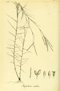 n155_w1150