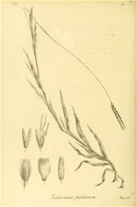 n409_w1150