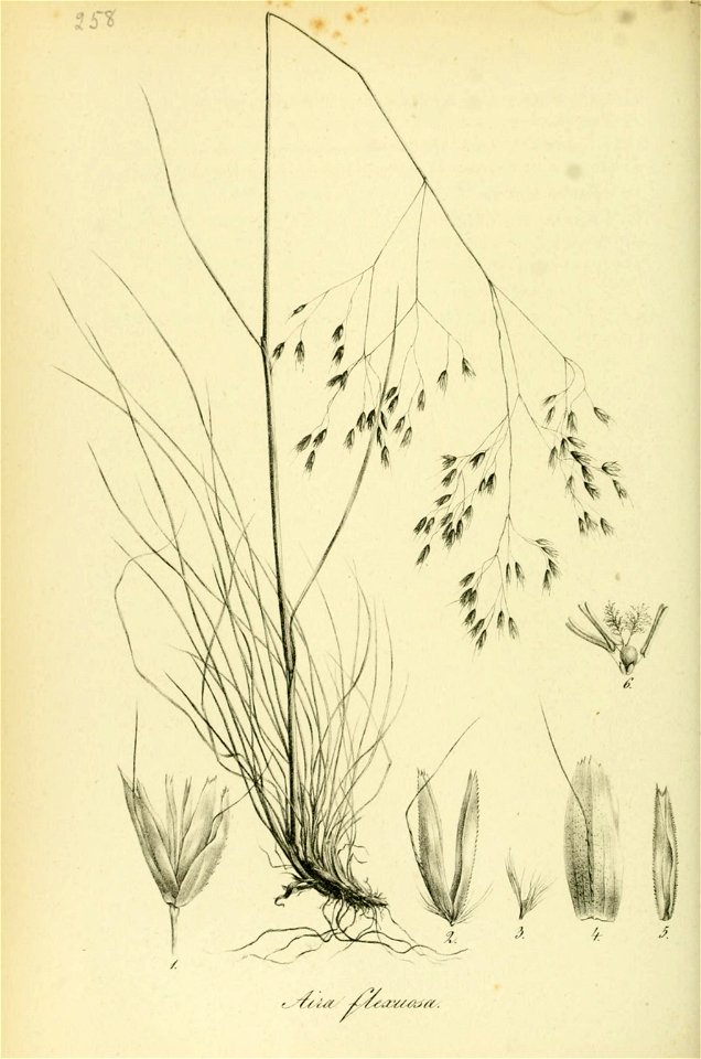 n87_w1150