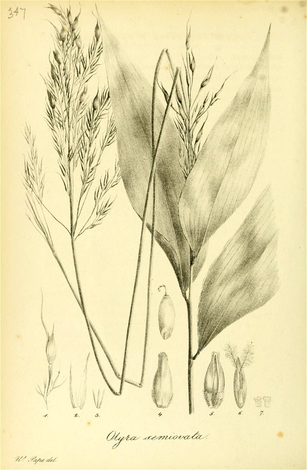 n469_w1150