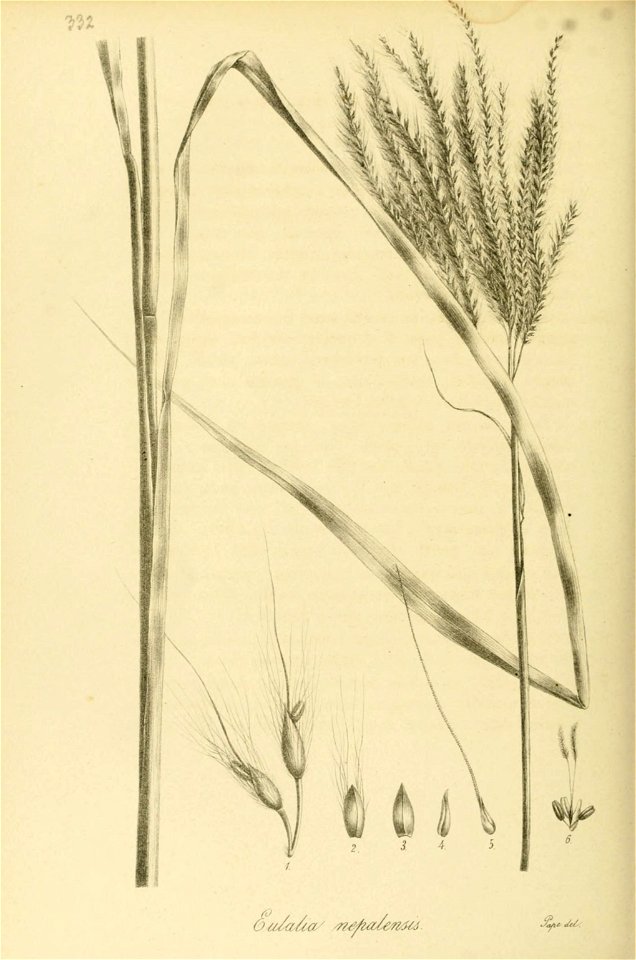 n405_w1150