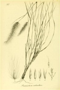 n211_w1150