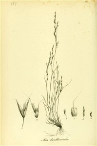 n83_w1150