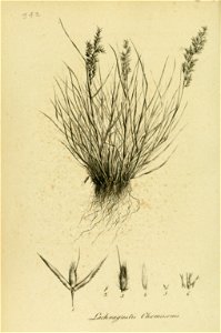 n19_w1150