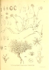 n168_w1150