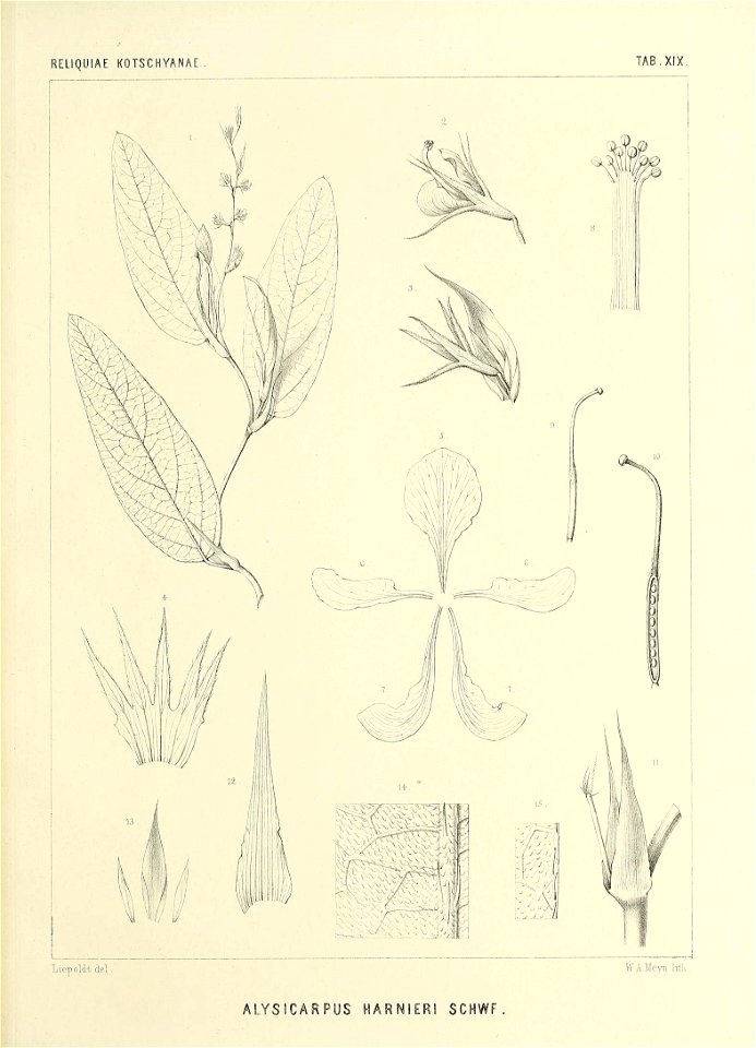 n570_w1150