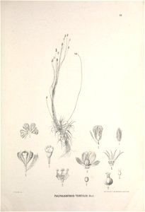 n438_w1150