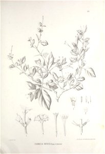 n408_w1150