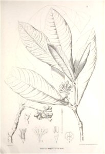 n406_w1150