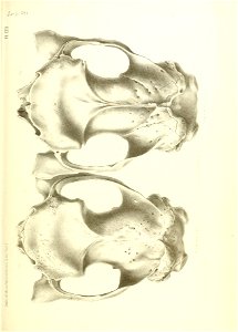 n490_w1150