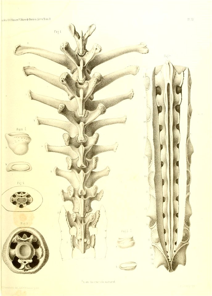 n454_w1150