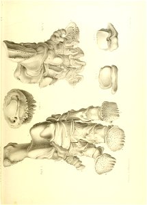 n452_w1150