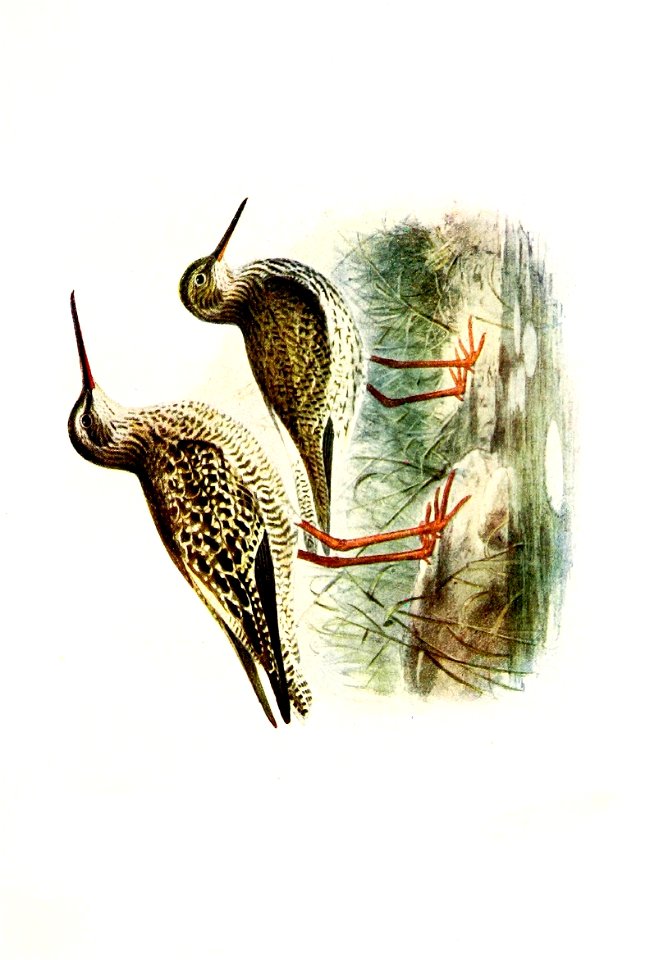 n699_w1150