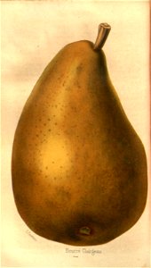 n67_w1150