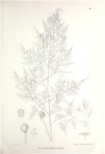 n458_w1150