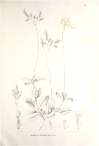 n398_w1150