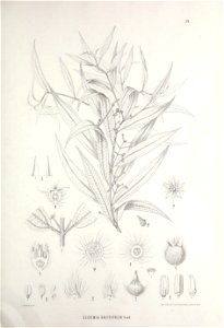 n338_w1150
