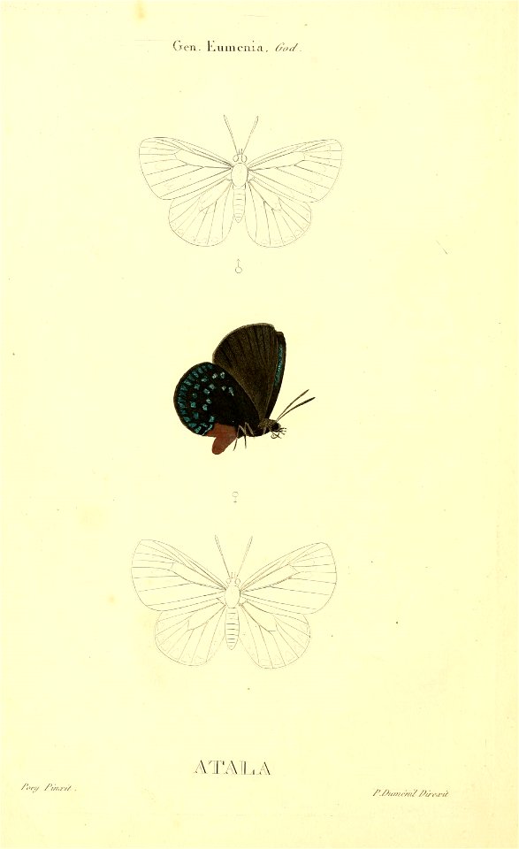 n17_w1150