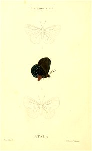 n17_w1150