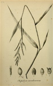 n155_w1150