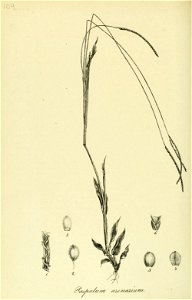 n513_w1150